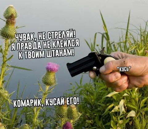 Комарик, кусай его