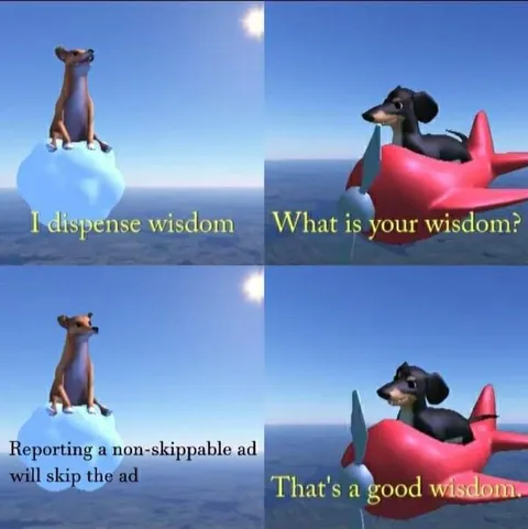 Non-Skippable Ad Wisdom