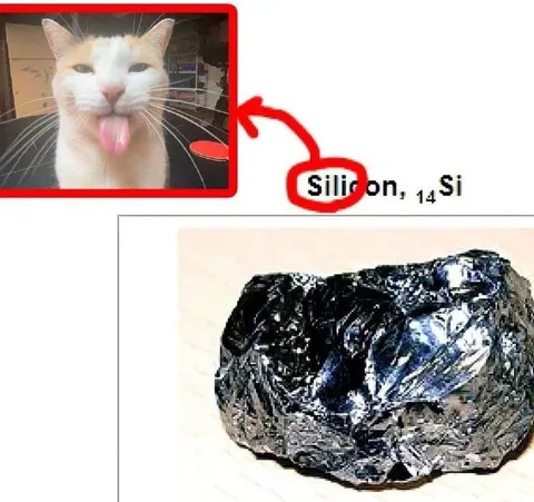 Cat Explains Silicon