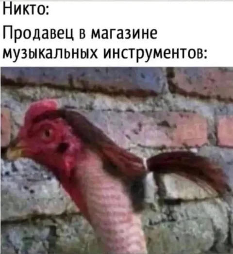 Продавец музыкальных инструментов