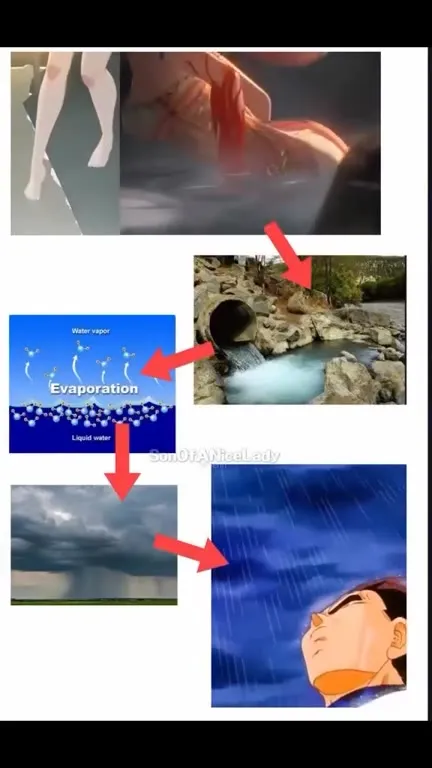 The Water Cycle Makes Vegeta Cry
