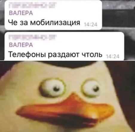 Че за мобилизация