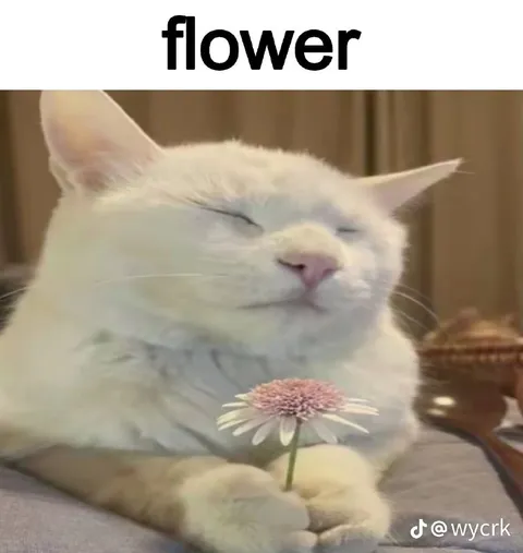 Peaceful Cat Holding a Flower
