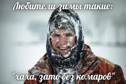 Любители зимы без комаров