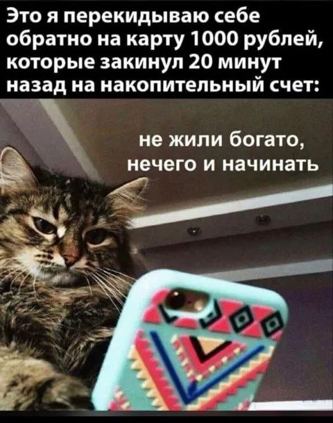 Не жили богато