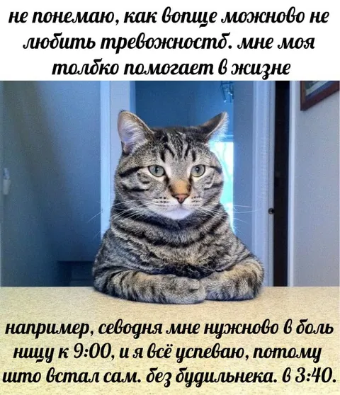 Тревожность помогает всё успеть