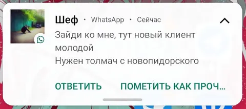 Толмач с новопидорского