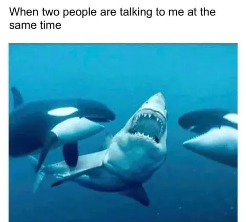 Two People Talking at Once