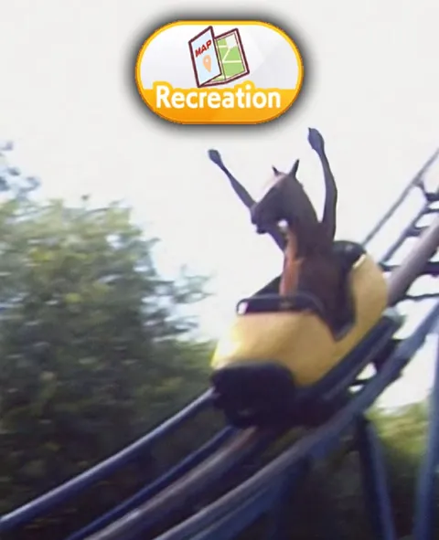 Horse on the Roller Coaster