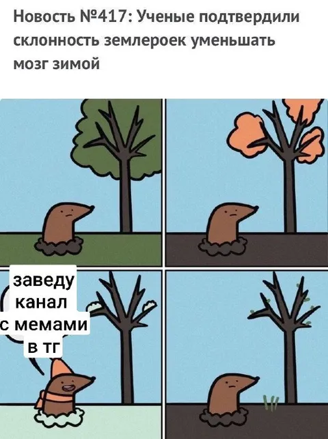 Землеройка уменьшает мозг зимой