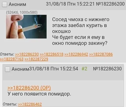 Помидор в окне соседа