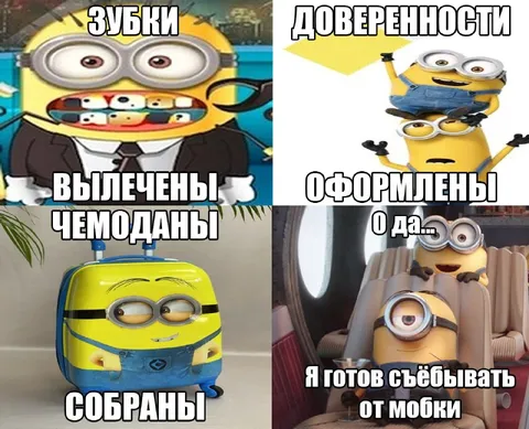 Миньон готов съебывать