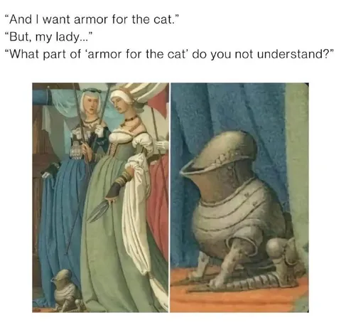 Armor for the Cat