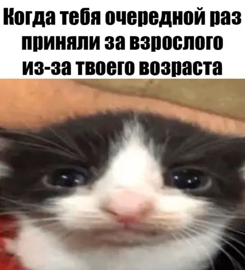 Когда тебя приняли за взрослого