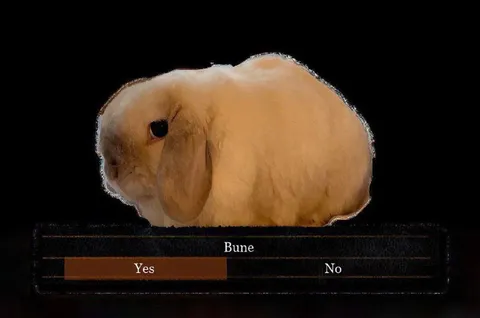 Bune Yes or No Poll