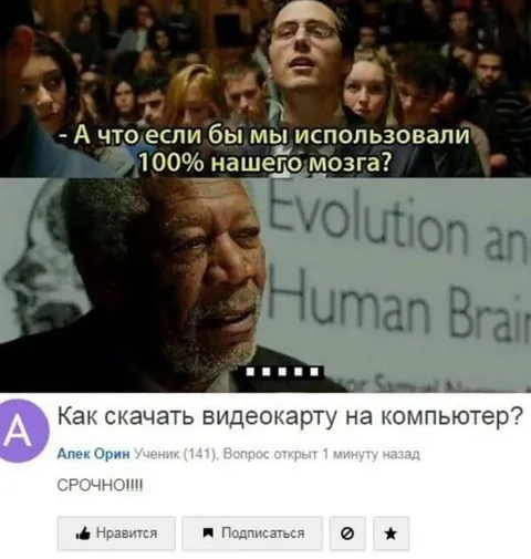 Как скачать видеокарту на компьютер