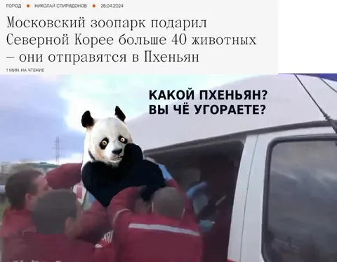 Какой Пхеньян?