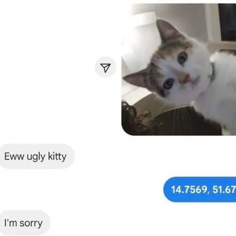 Ugly Kitty Coordinates