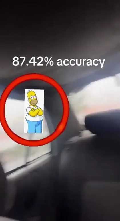 87.42% Accuracy Homer Detection