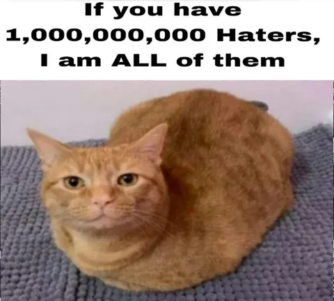 One Billion Haters Cat