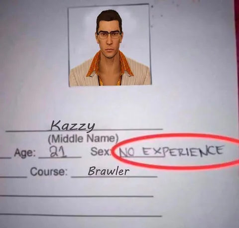 No Experience Brawler
