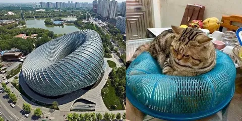 Кот в здании-бассейне