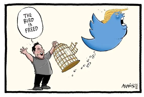 The Bird Is Freed