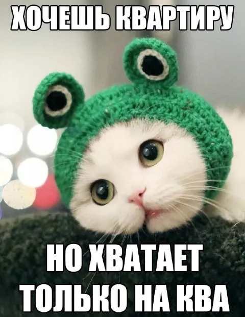 Квартира только на ква
