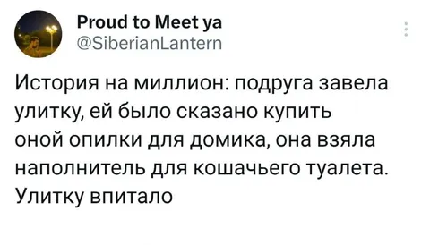 Улитку впитало наполнителем