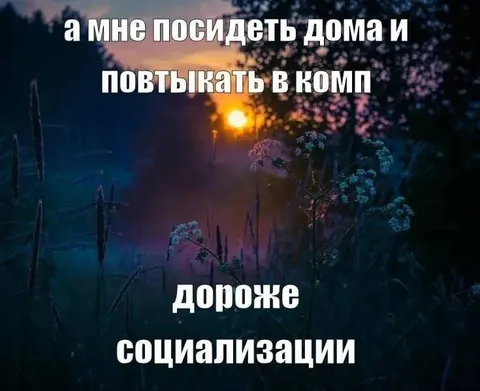 Дом и компьютер вместо социализации