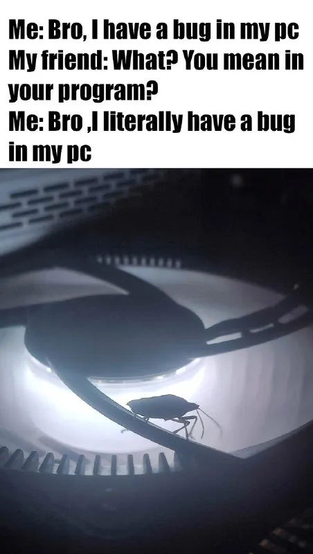 Bug Literally Inside the PC