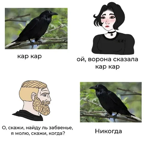 Ворона отвечает никогда