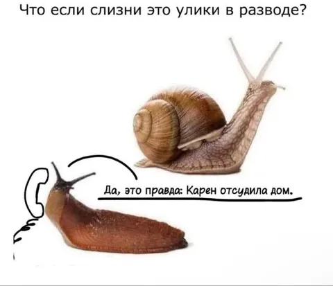 Слизни — улики в разводе