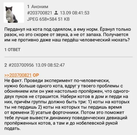 Эксперимент с котами и пердёжом