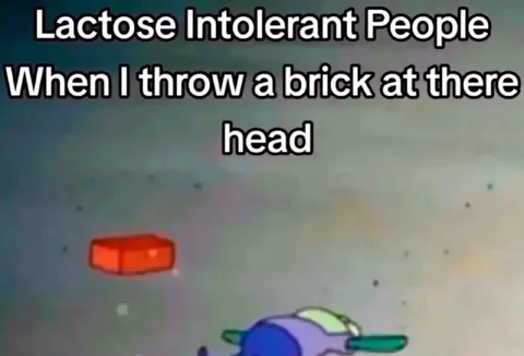 Lactose Intolerant Brick Throwing
