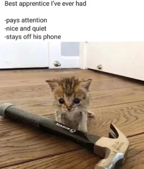 Best Apprentice Ever