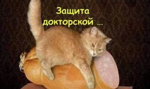 Защита докторской диссертации