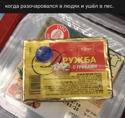Разочаровался в людях и ушёл в лес