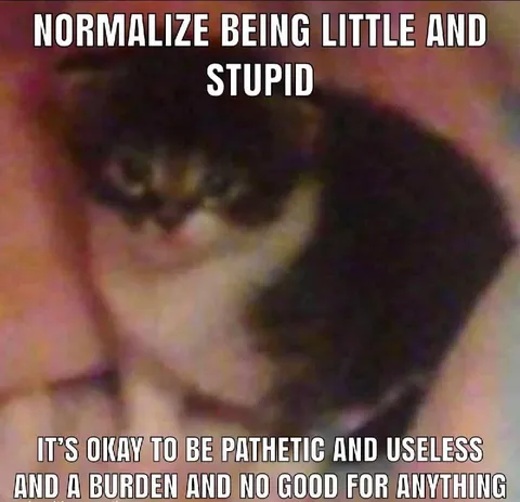 Normalize Being Little and Stupid