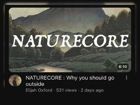 Naturecore Why You Should Go Outside
