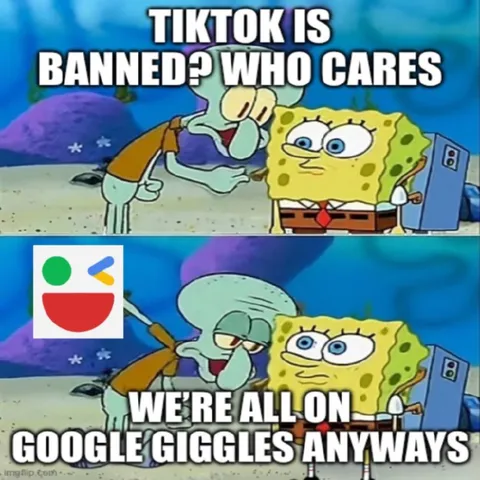 TikTok Banned, Google Giggles Wins