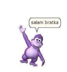 Salam bratka