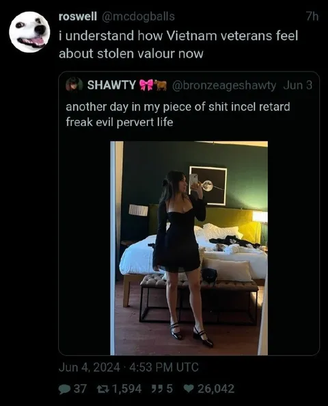 Stolen Valor Revelation