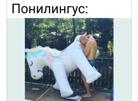 Понилингус на надувном единороге