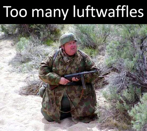 Too Many Luftwaffles