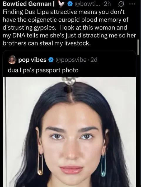 Dua Lipa Passport Photo Distracts Me