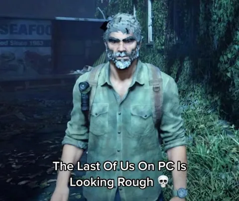 The Last of Us PC Port Looks Rough