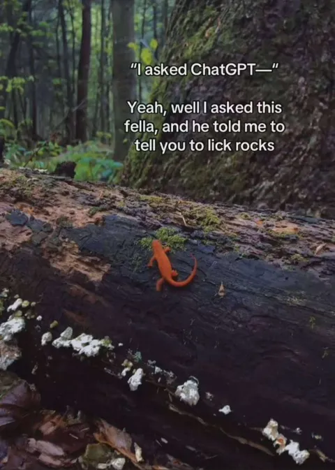 Salamander Says Lick Rocks