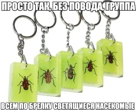 Брелоки с насекомыми для всей группы