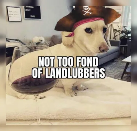 Pirate Dog Hates Landlubbers